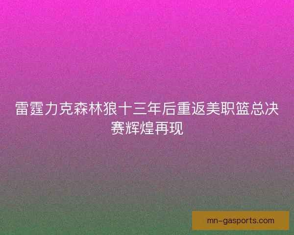 雷霆力克森林狼十三年后重返美职篮总决赛辉煌再现